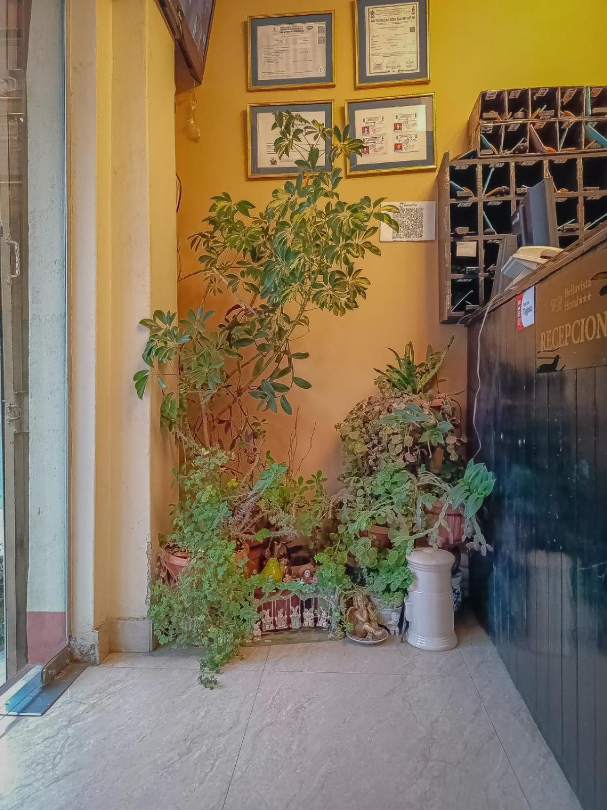 拉巴斯贝拉维斯塔旅馆住宿加早餐旅馆 外观 照片